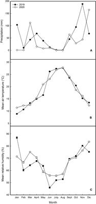 Effects of artificial canopy shading on vegetative growth and ripening processes of cv. Nero d’Avola (Vitis vinifera L.)